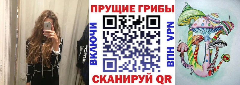 Галлюциногенные грибы Psilocybe мега зеркало Венёв
